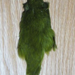 Hen Neck